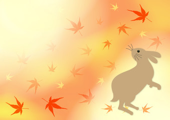 野うさぎとカエデの紅葉
