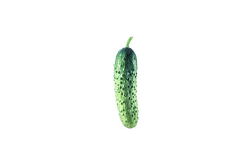 Cucumber isolated on white background