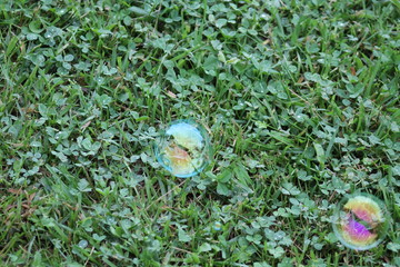 Bubble in the grass