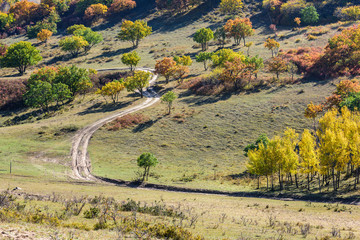 Inner Mongolia grassland in China