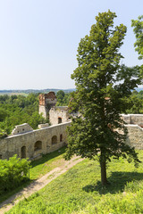 Ruins of 15th century medieval castle, Tenczyn Castle, Polish Jura, Rudno,  Poland