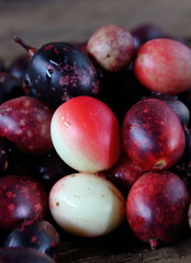karonda fruit for health herb in thailand