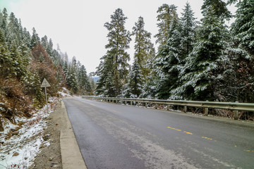 Road