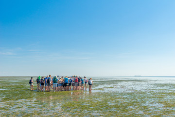 Erlebnis Wattwanderung im Wattenmeer der Nordsee, bei Dagebüll 
