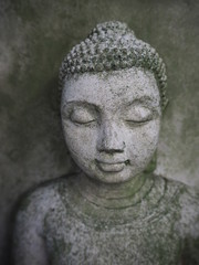 Buddha face close up, grey with  weathered moss sitting in a tree