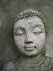 Fototapeta na wymiar Buddha face close up, grey with weathered moss sitting in a tree