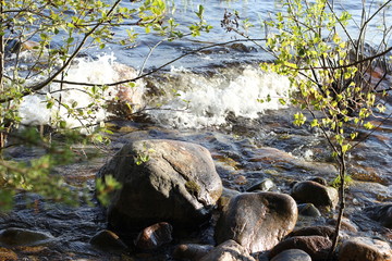 Ladoga
