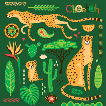 Wild exotic cats, tropical plants and ethnic patterns set. Cheetahs and their cub. Vector illustration of cartoon style