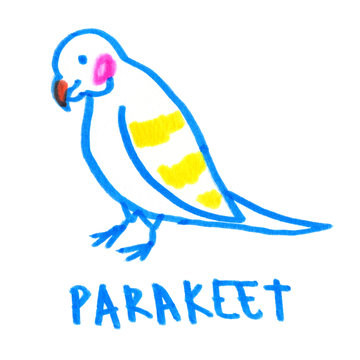 Simple abstract cartoon parakeet painted in highlighter felt tip pen on clean white background