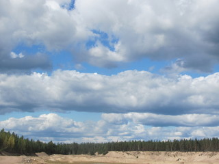 Blue sky with white cumulus clouds over the forest