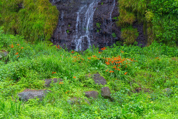 Shiraito waterfall in the southwestern foothills of Mount Fuji, Shizuoka, Japan