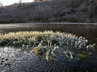 Winter landscape with the first frost on the lake