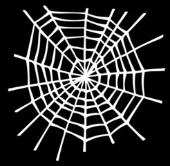 Illustration of White spider web