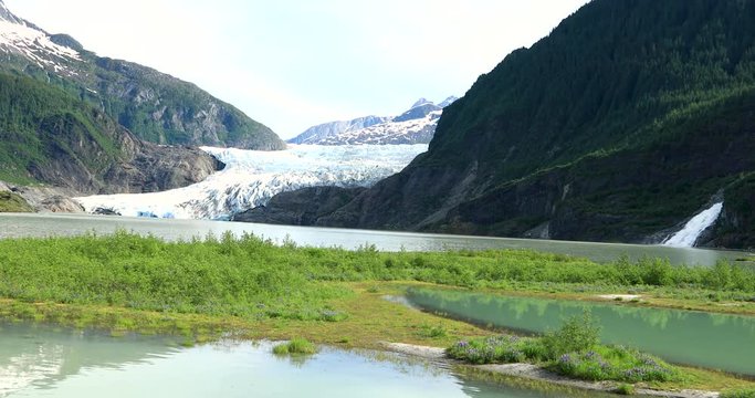 Mendenhall Glacier is a glacier about 13.6 miles (21.9 km) long located in Mendenhall Valley,  Juneau. Alaska, USA.