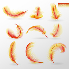 Set of isolated falling colored fluffy twirled feathers on transparent background in realistic style. Light cute feathers design. Elements for design. Vector Illustration