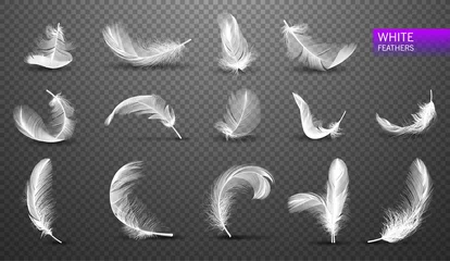 Fotobehang Set of isolated falling white fluffy twirled feathers on transparent background in realistic style. Vector Illustration © irkus