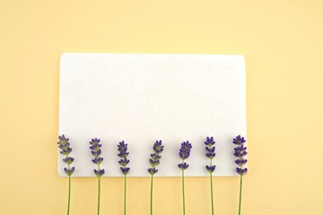 lavender mockup. empty  board with lavender flowers on a pale yellow background.Season of lavender