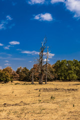 Trockenheit Landschaft Panorama Sommer