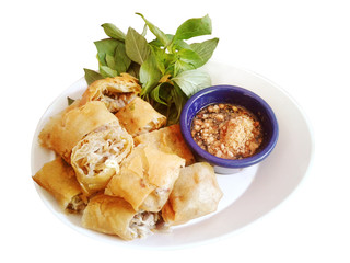 deep fried spring roll slice. food. photo