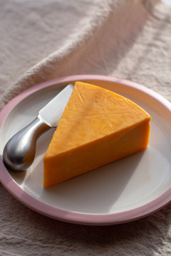 Triangle piece of British hard cow  dark yellow cheddar cheese on pink table