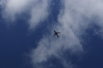 SONY DSC