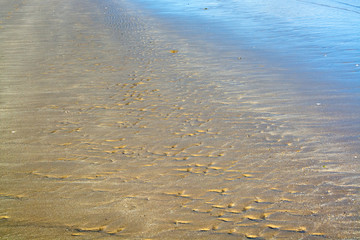 Wavy sand texture in golden color reflection on sandy beach at low tide in the evening