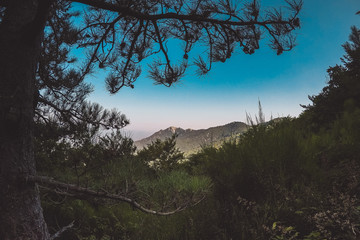 un paysage d'été en montagne française