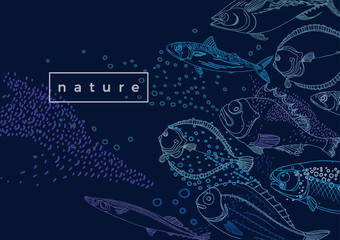 Marine vector template. Nature sea fish.