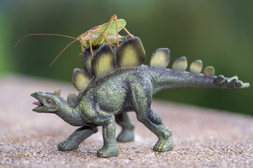 Grashüpfer auf Dinosaurier