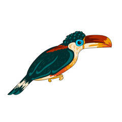 Curl-crested aracari icon