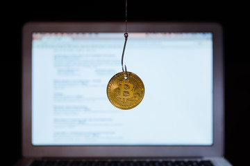 Bitcoin on a fishhook. Webpage on computer background.