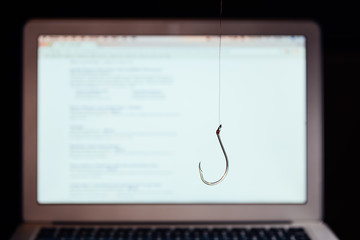 Online fraud and phishing scam concept. A fishhook on webpage background.