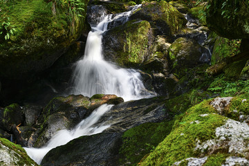 a hike through the wild Ysperclammy