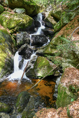 a hike through the wild Ysperclammy