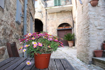 Fototapeta na wymiar simple vase of flowers on a table along the ancient streets
