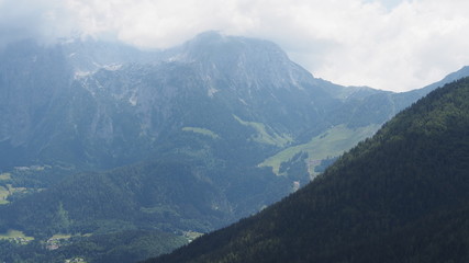 Fototapeta premium OLYMPUS DIGITAL CAMERA