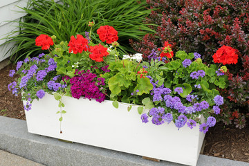 flower container