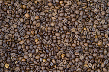 Close-up view of roasted coffee beans in man's hands.