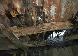 rotten and broken ceiling of an old abandoned house with the ris