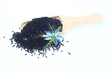 Heilpflanze Schwarzkümmel, Damaszener Schwarzkümmel, Damaszener Kümmel oder Garten-Schwarzkümmel, Jungfer im Grünen, Nigella damascena, sativa