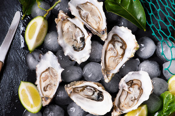 Oysters on stone black plate with ice and lemon