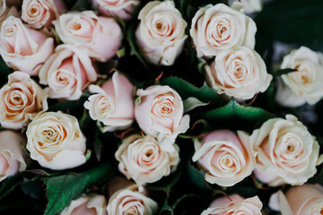 delicate, roses, flowers, bouquet, beauty