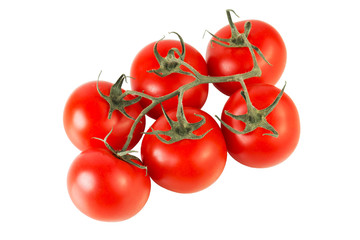 Red tomato branch top view isolated on white