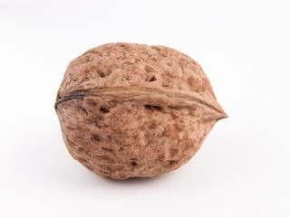 Single walnut isolated on a white background