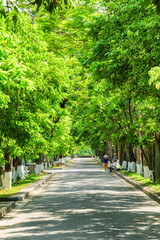 Amazing green shady street at the Imperial City, Hue, Vietnam