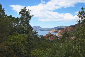 Fototapeta premium Corsica-outlook at the town Porto