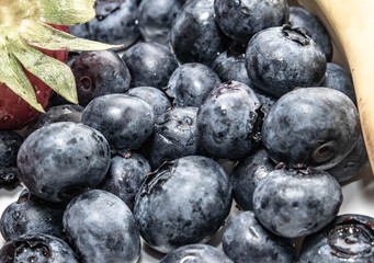 Blueberries
