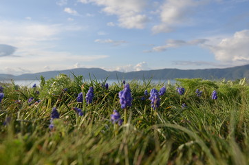  19/5000 prekrasnaya planeta beautiful planet © Ann