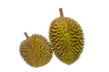 Closeup of durian fruits isolated on white