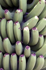 Bananen © Applepear Photograph